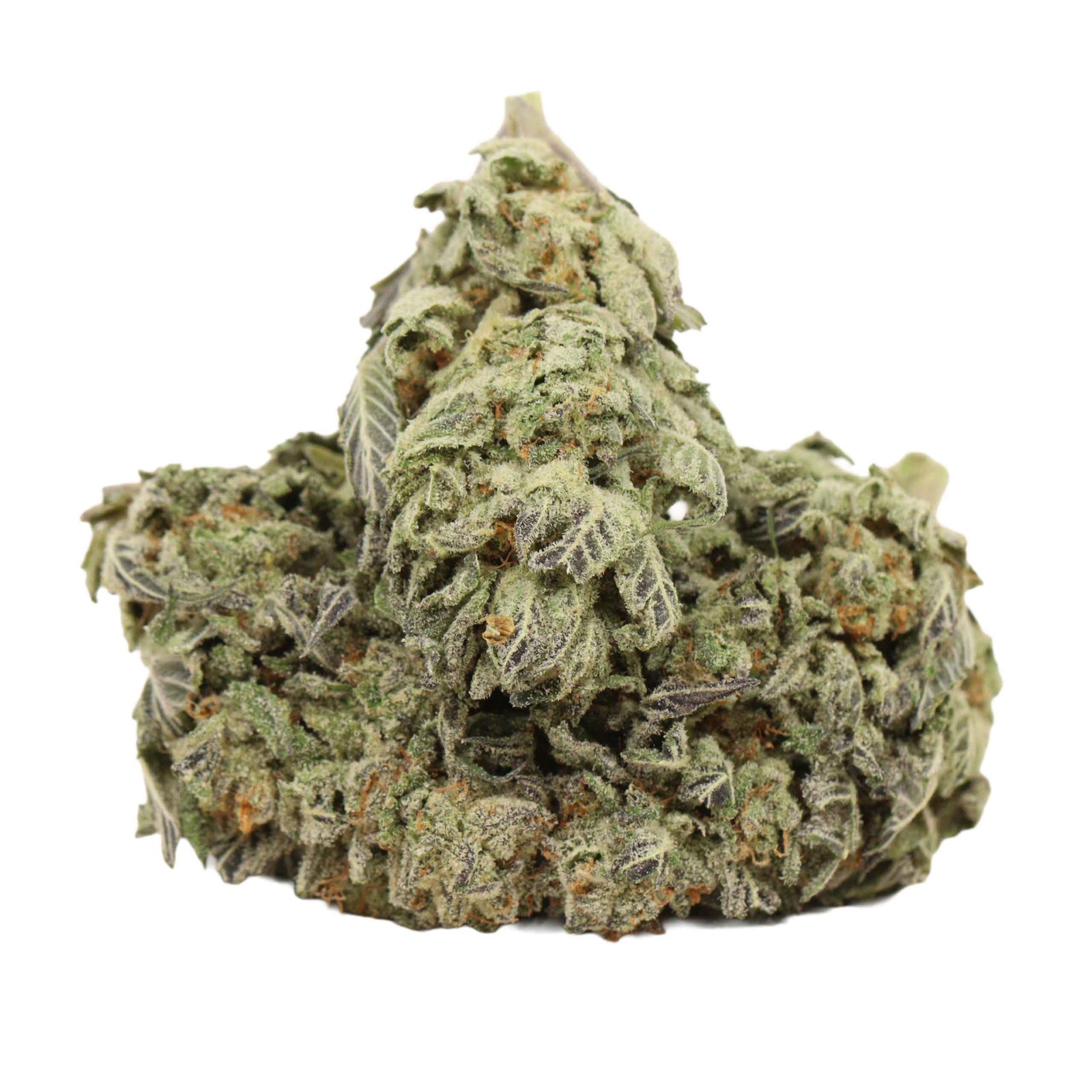 9 Pound Hammer Strain
