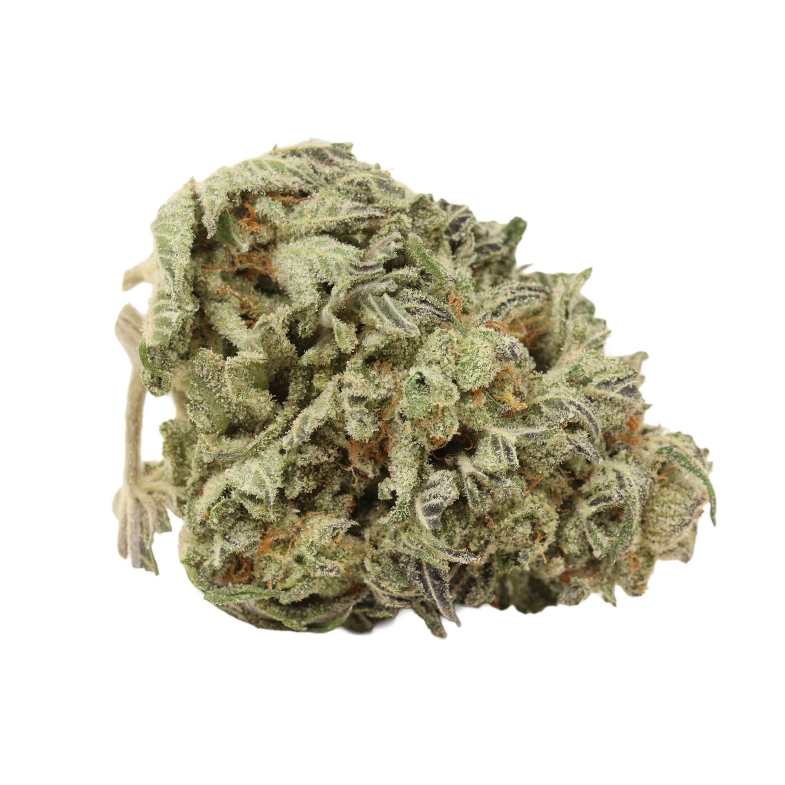 9 Pound Hammer Strain - Image 2