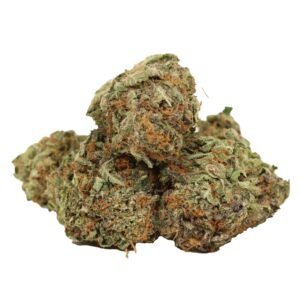 94 Octane Strain