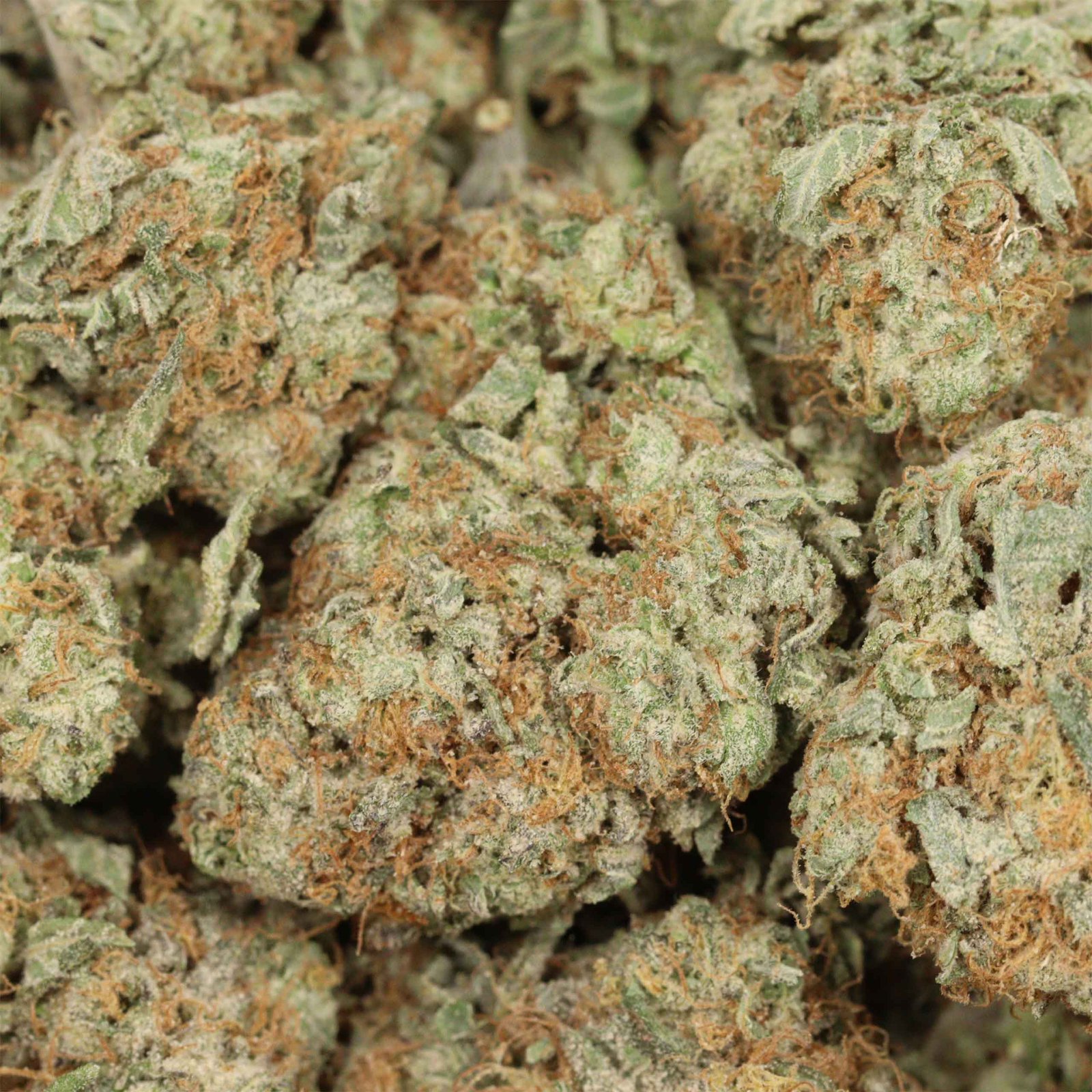 Afghani Kush Strain - Image 3