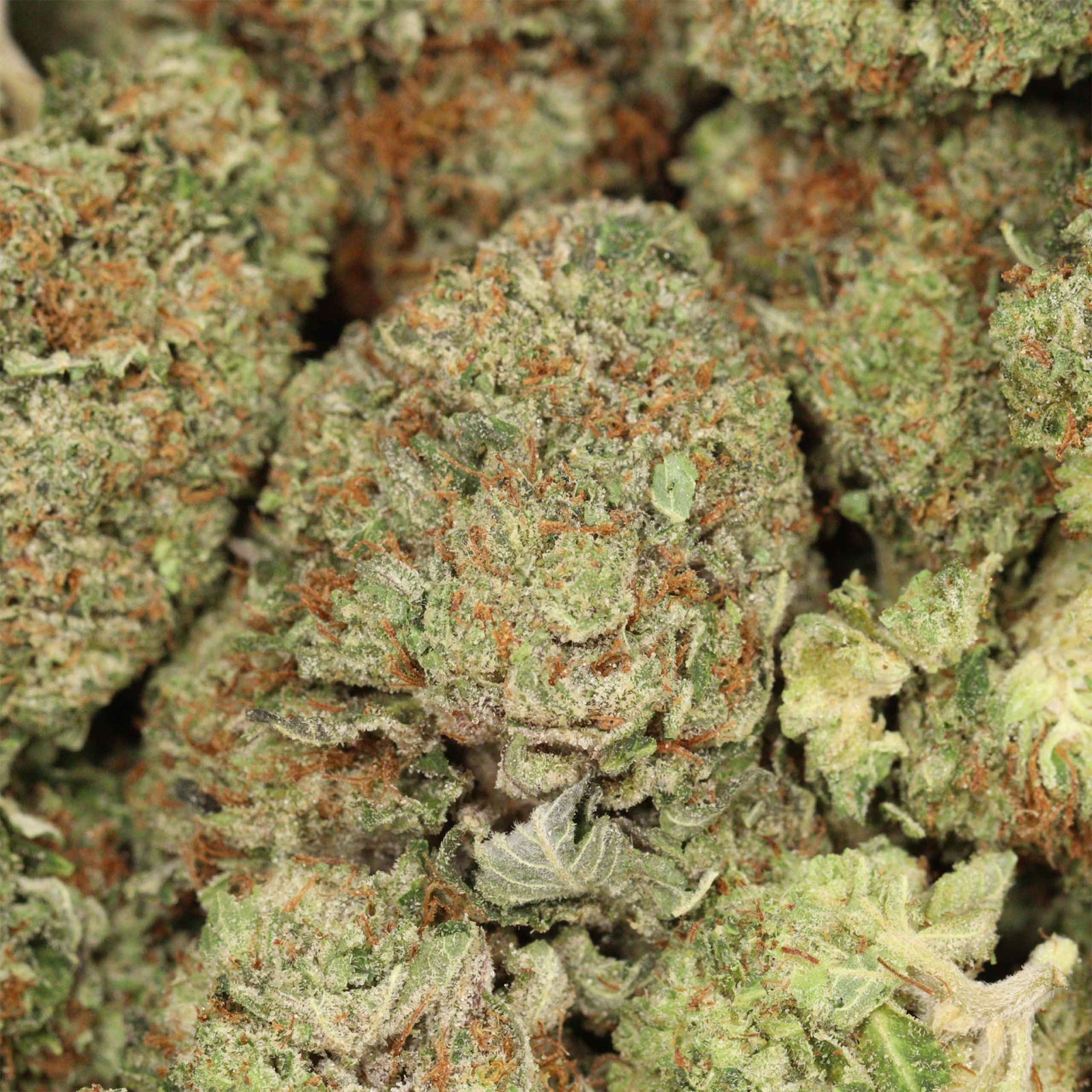 Afghani Death Bubba Strain - Image 3