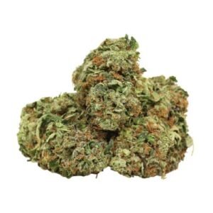 Afghani Pink