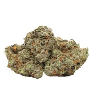 Blue Cheese Strain Bulk Buddy Weed Online Dispensary Canada