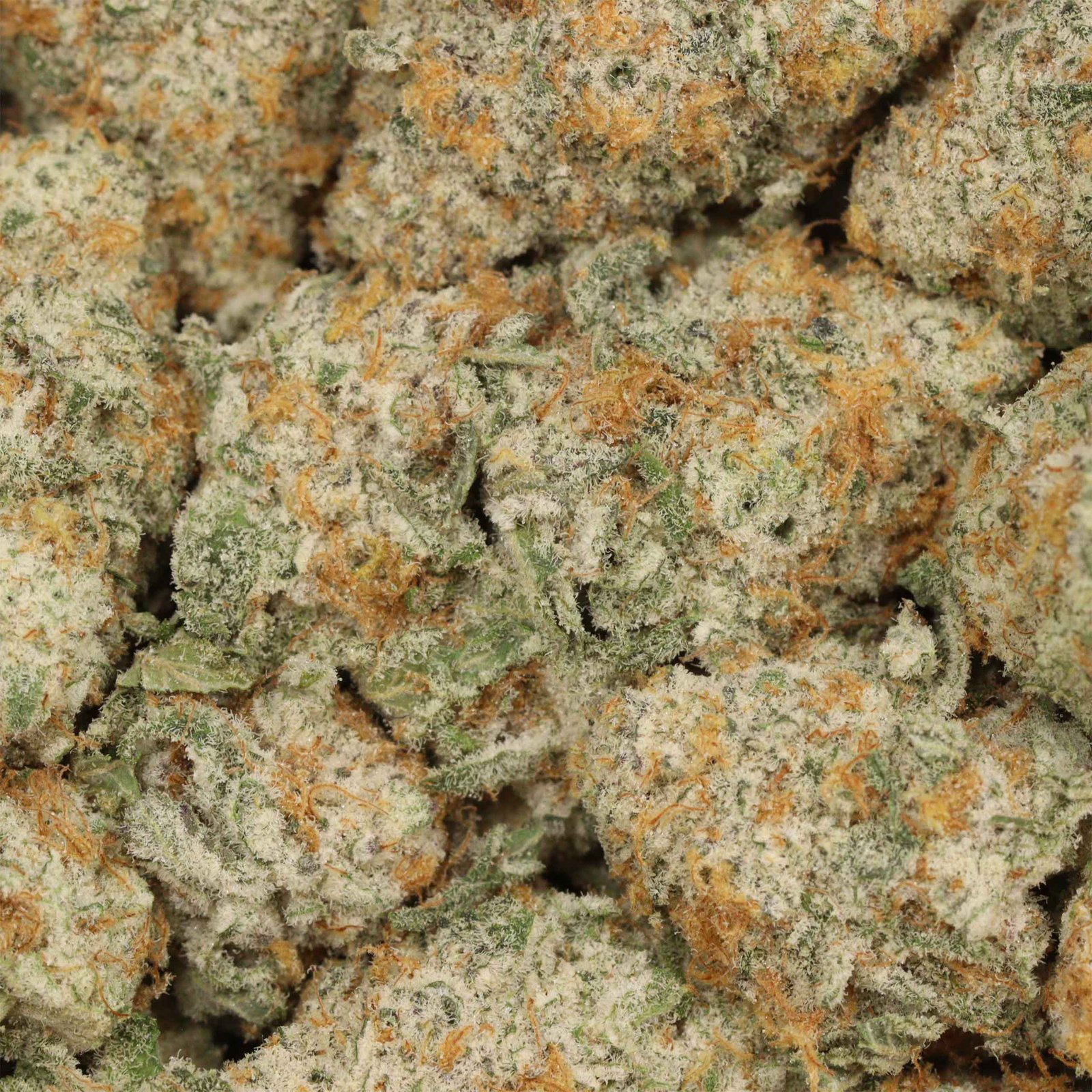 Diablo OG Kush Strain - Image 3