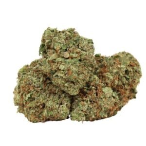 Dior Death Bubba