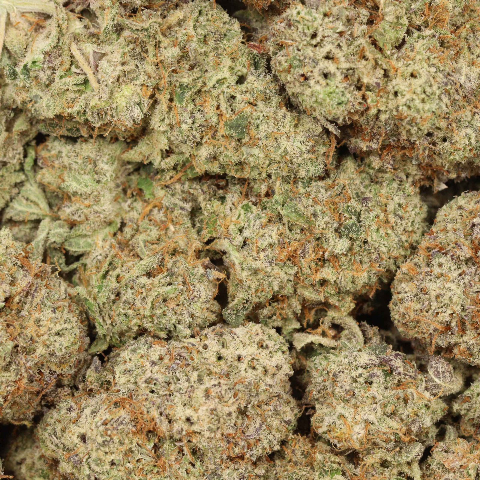 Donkey Butter Strain - Image 3