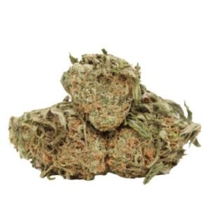Gelato