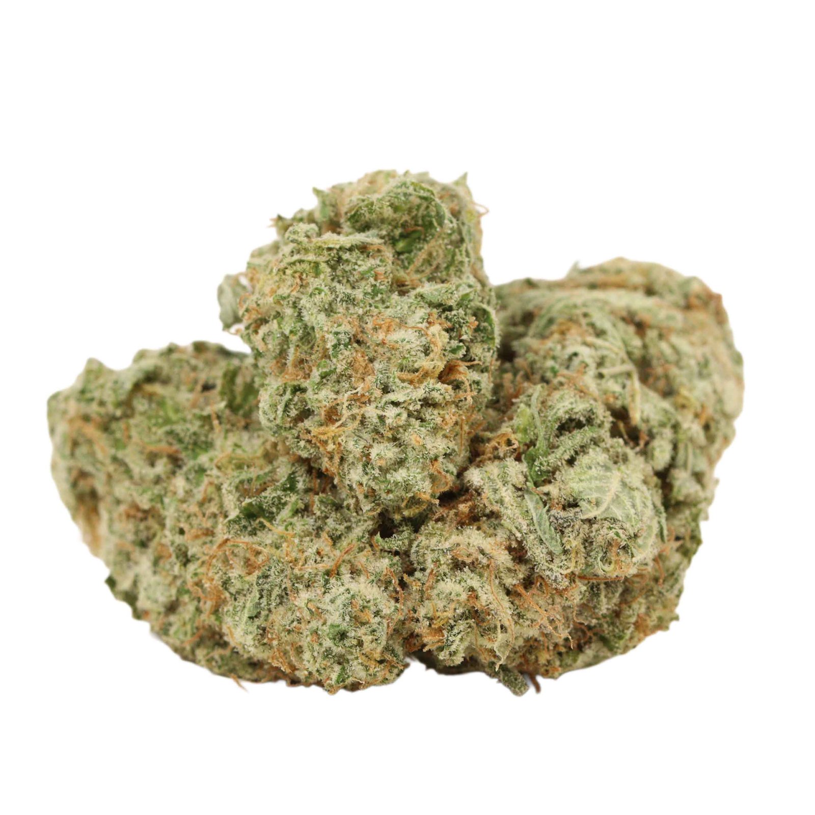 Girl Scout Cookies Strain Bulk Buddy Online Weed Dispensary