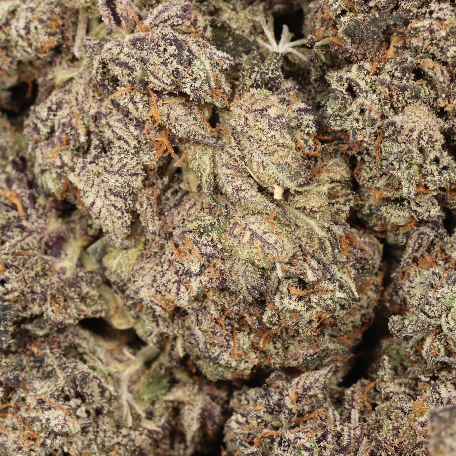 GrandDaddy Death Strain Bulk Buddy Online Dispensary Canada - Image 3