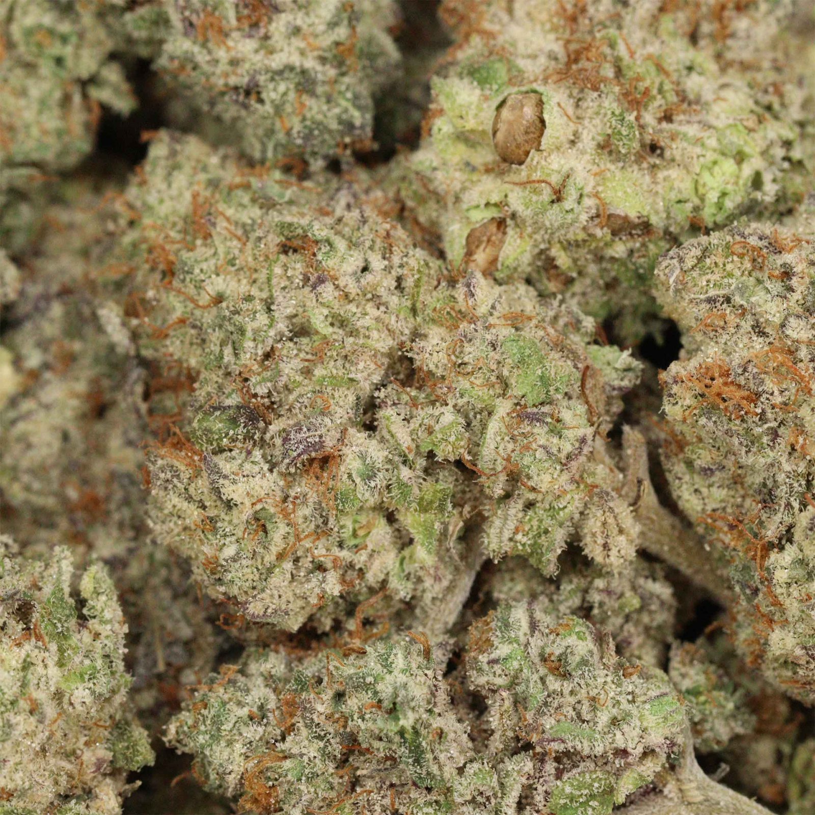 Grape Soda Strain - Image 3
