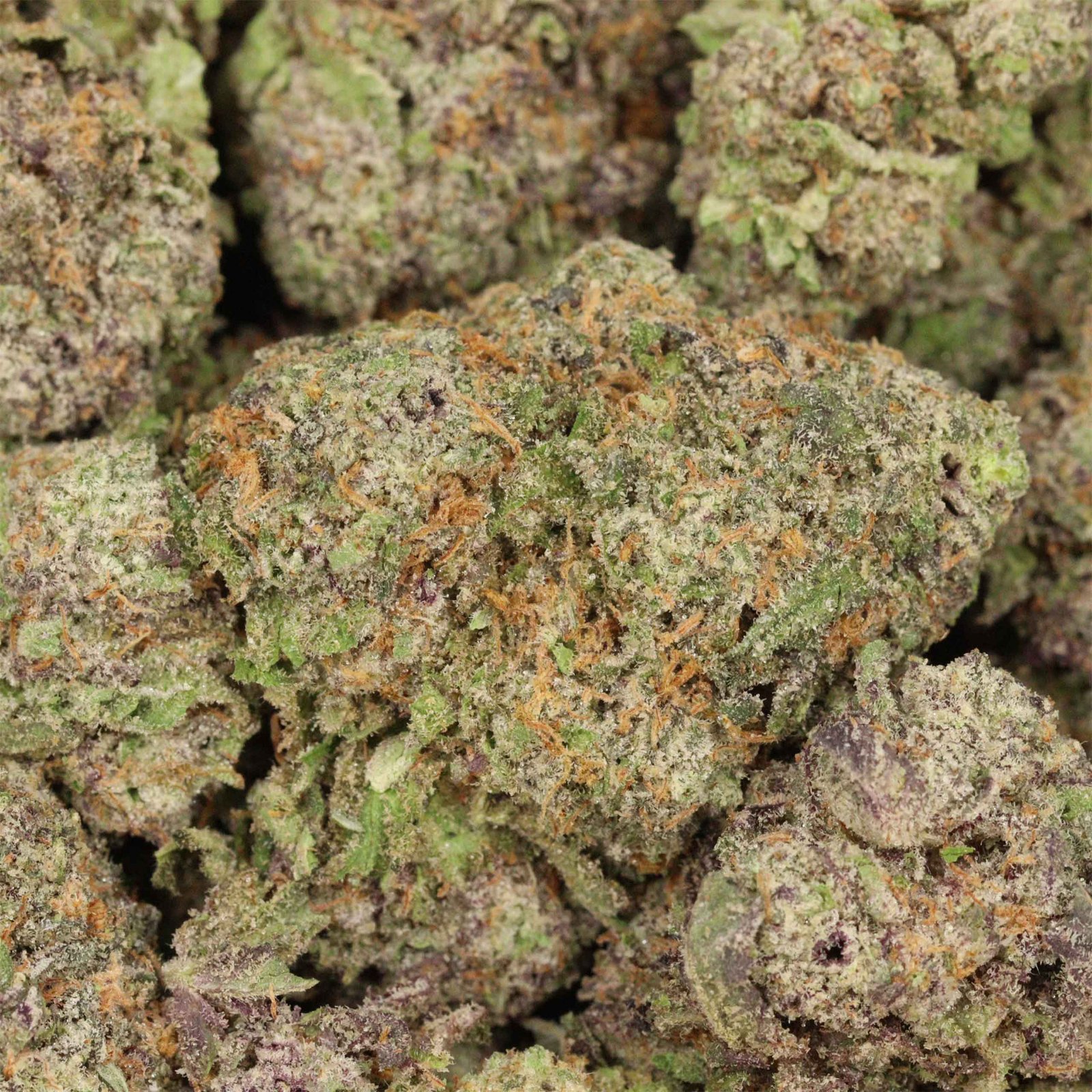 High Society Strain Craft Weed Bulk Buddy Online Dispensary - Image 3