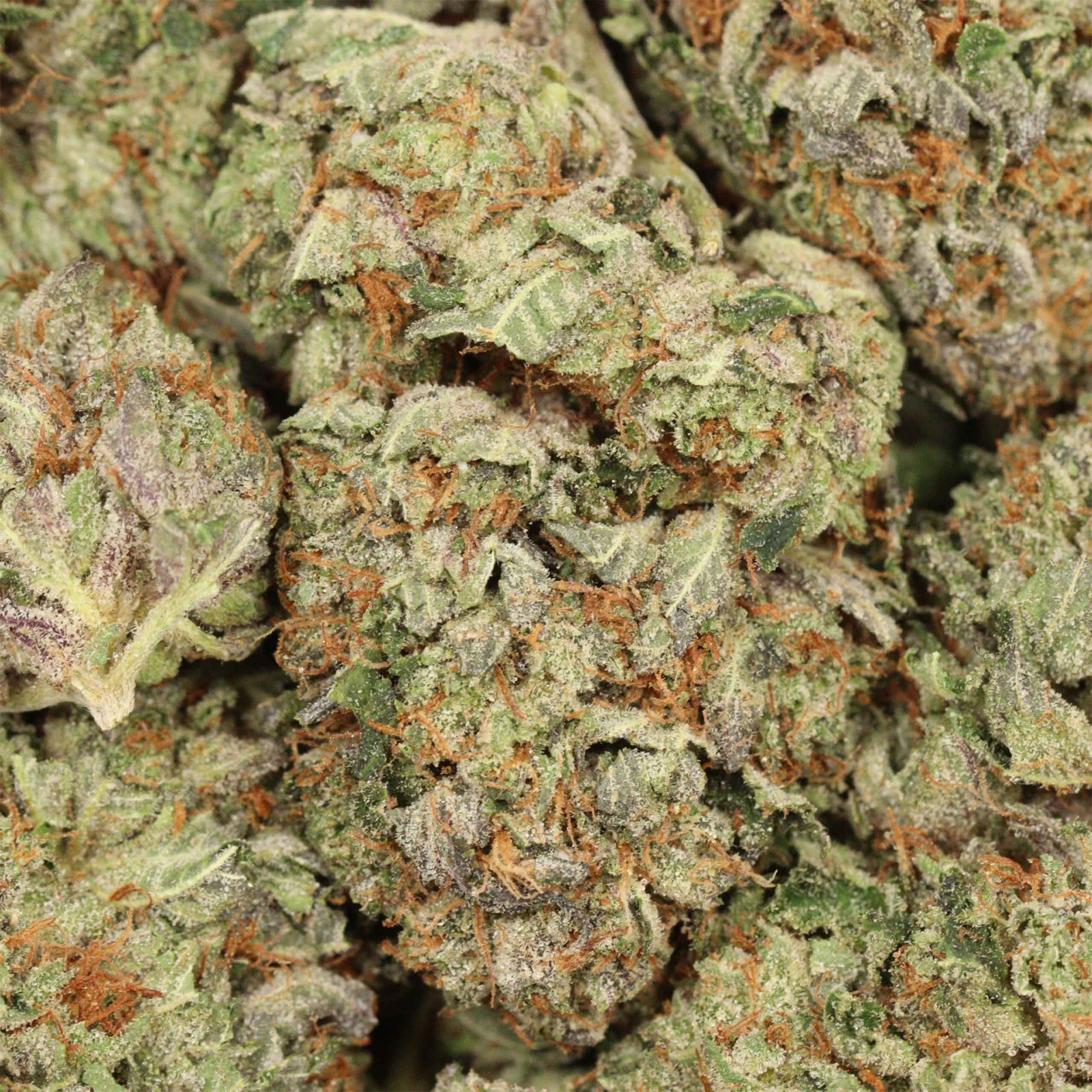 Hydro Death Bubba Strain - Image 3