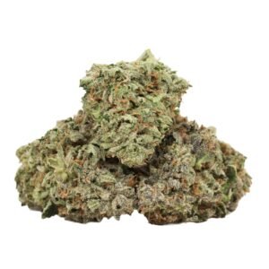 Hydro Pink Kush Strain