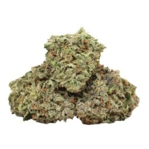 Hydro Pink Kush