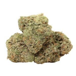 Jungle Mints