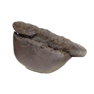 Kabul Gold Hash