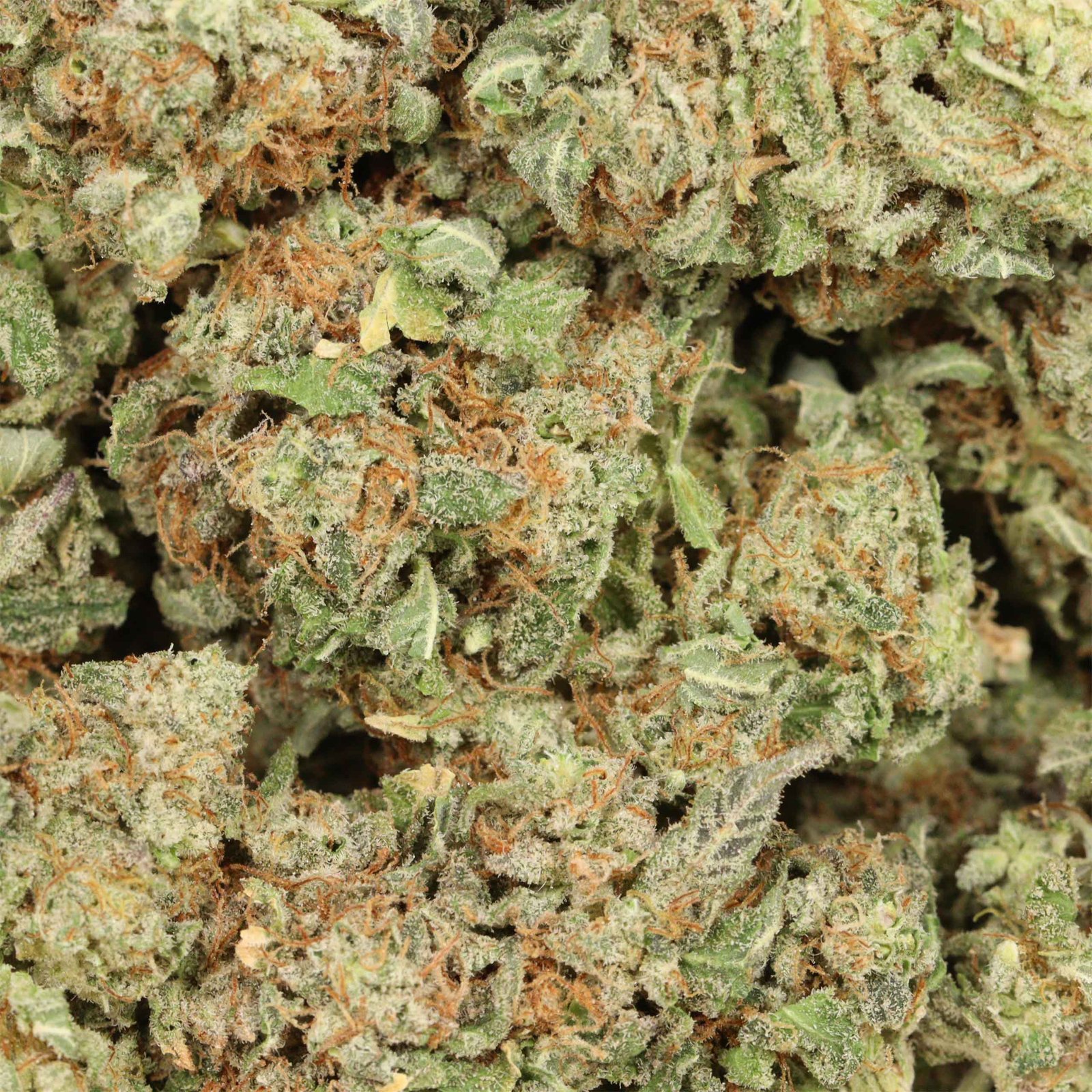 Layer Cake Strain - Image 3