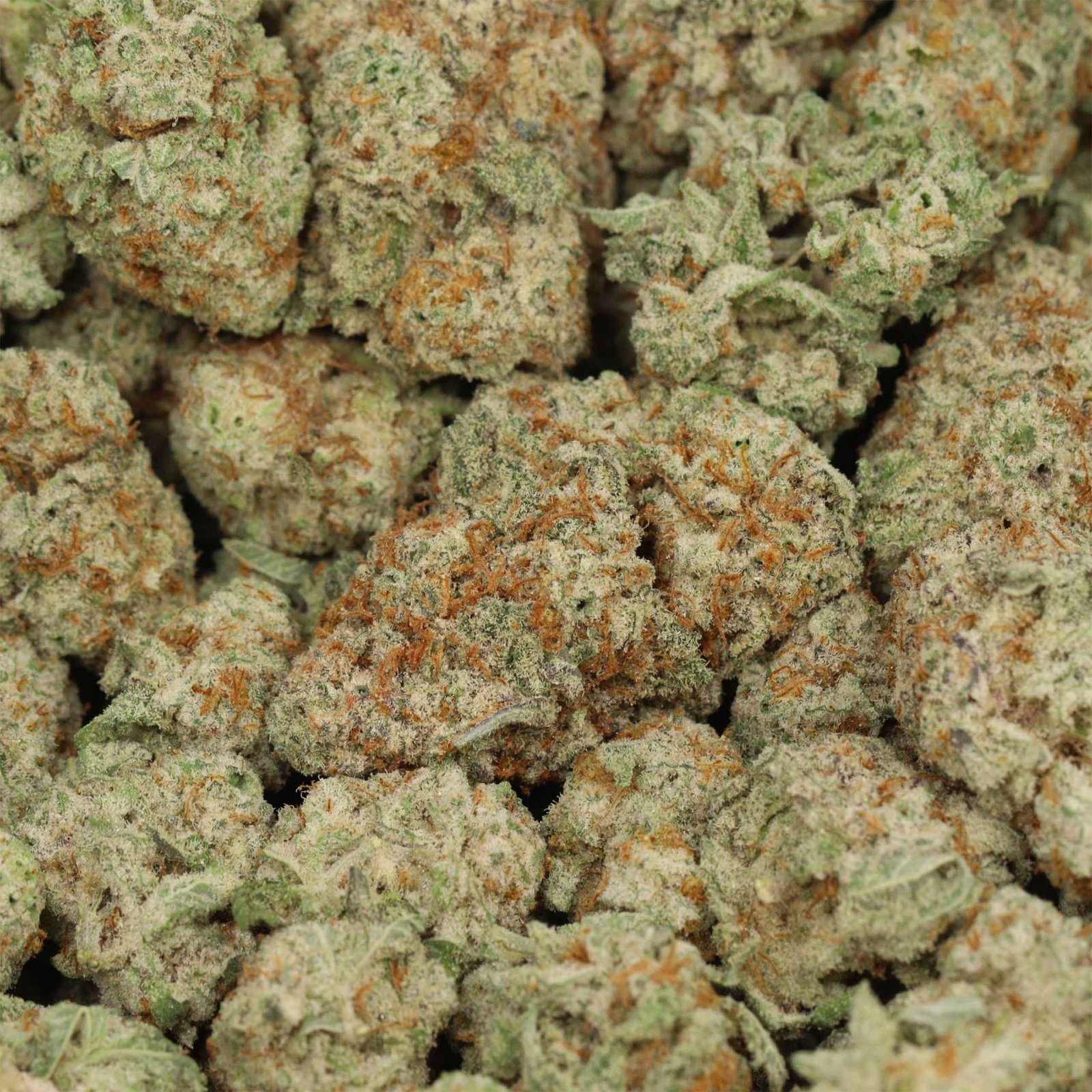 Mac 10 Strain - Image 3