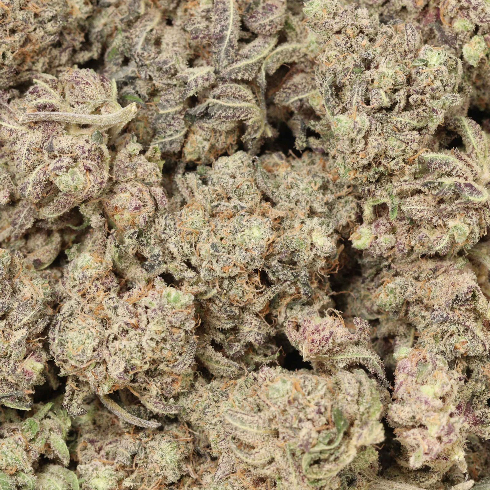 Maui Wowie Strain - Image 3
