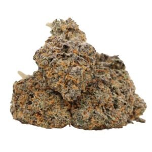 Northern Lights