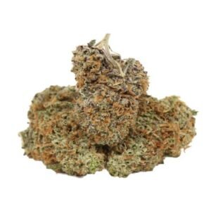 Violator Kush