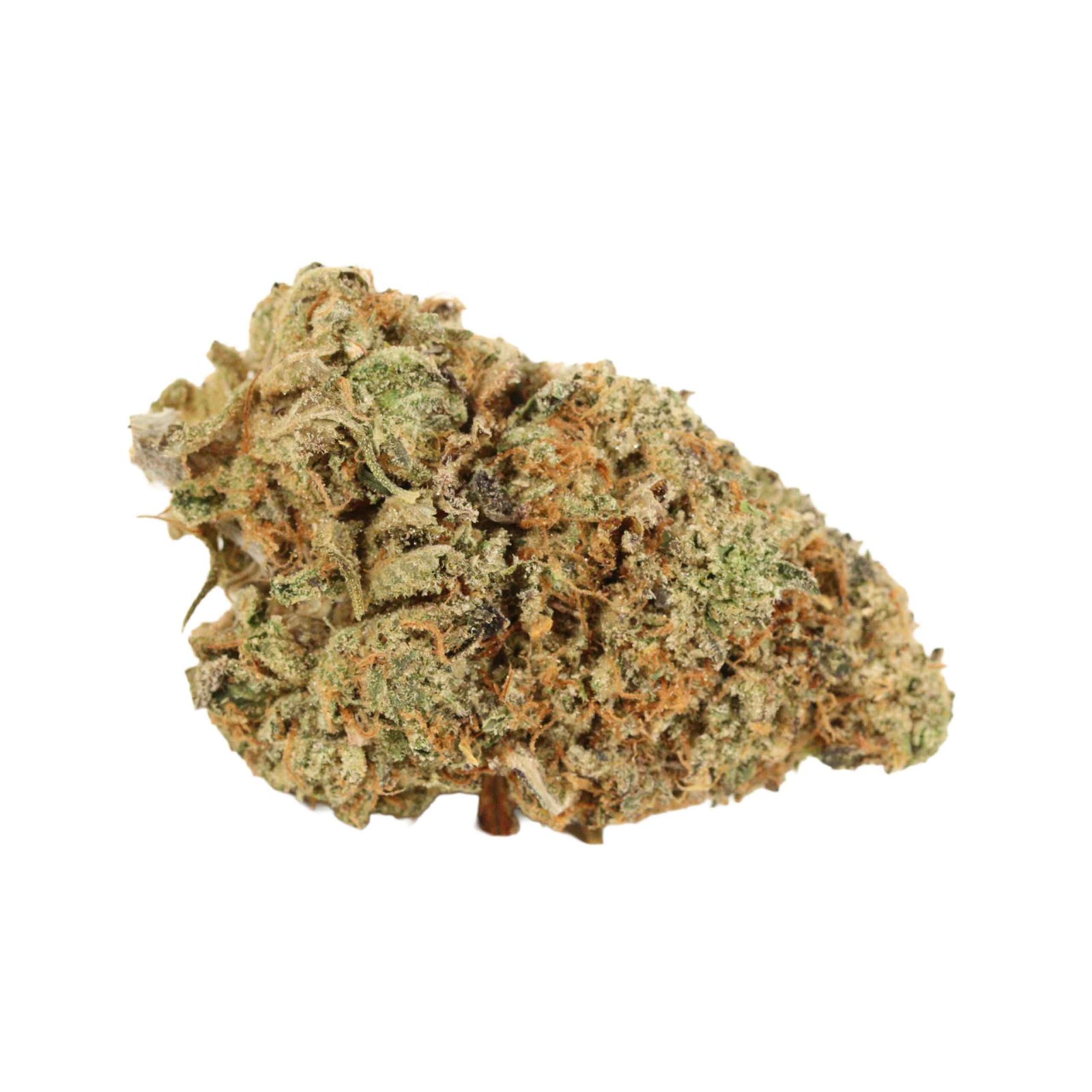 Black Tuna Strain - Image 2