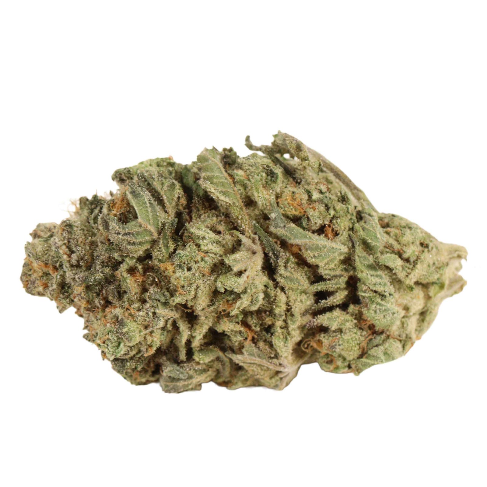 Blue King Strain - Image 2