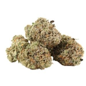 Comatose OG