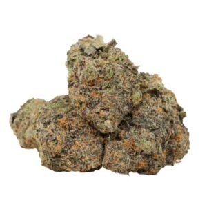 Dank Sinatra