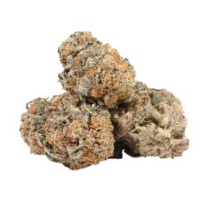 Grand Daddy Purple Strain Bulk Buddy Weed Online Dispensary