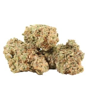 King Louis Strain XIII