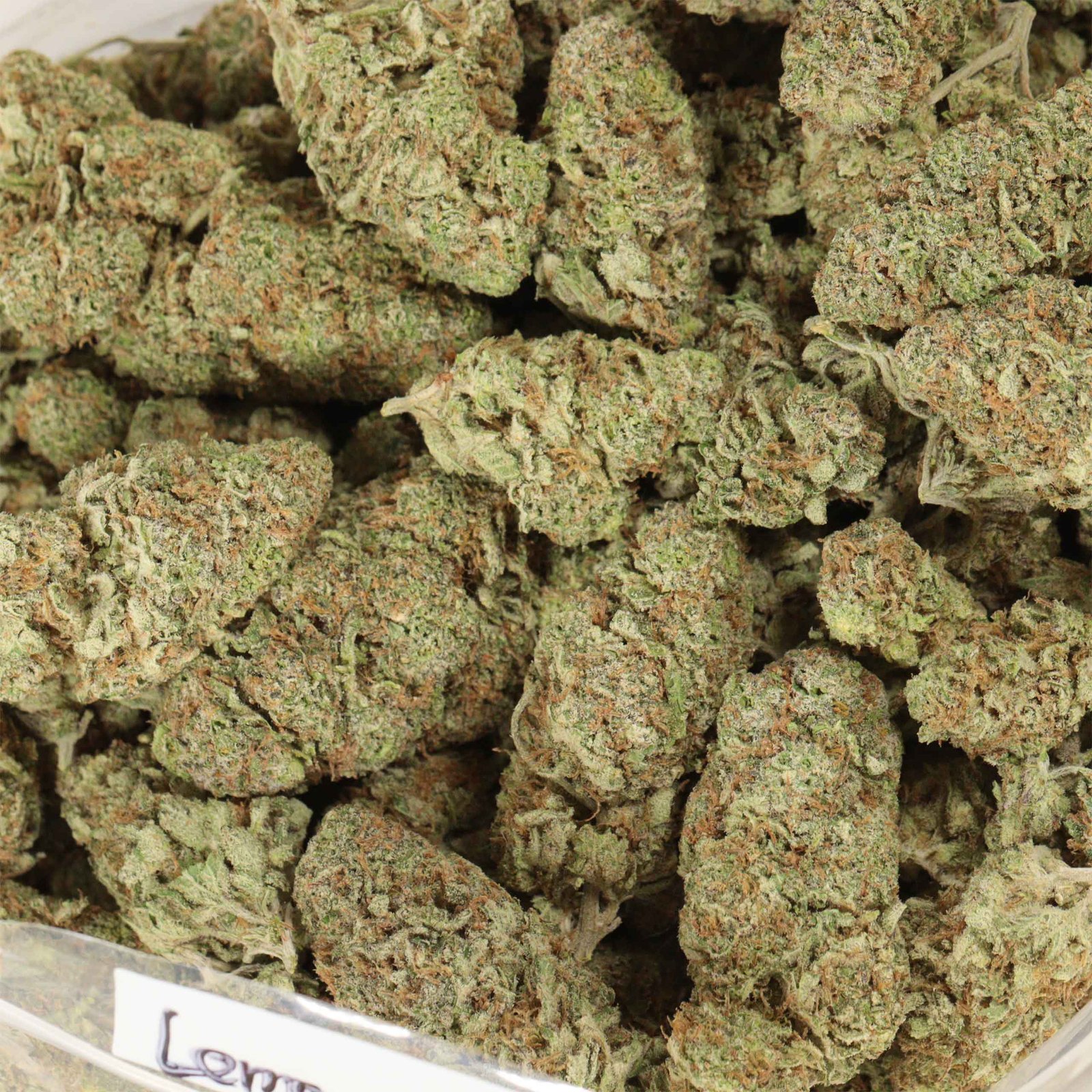 Lemon Kush Strain - Image 3