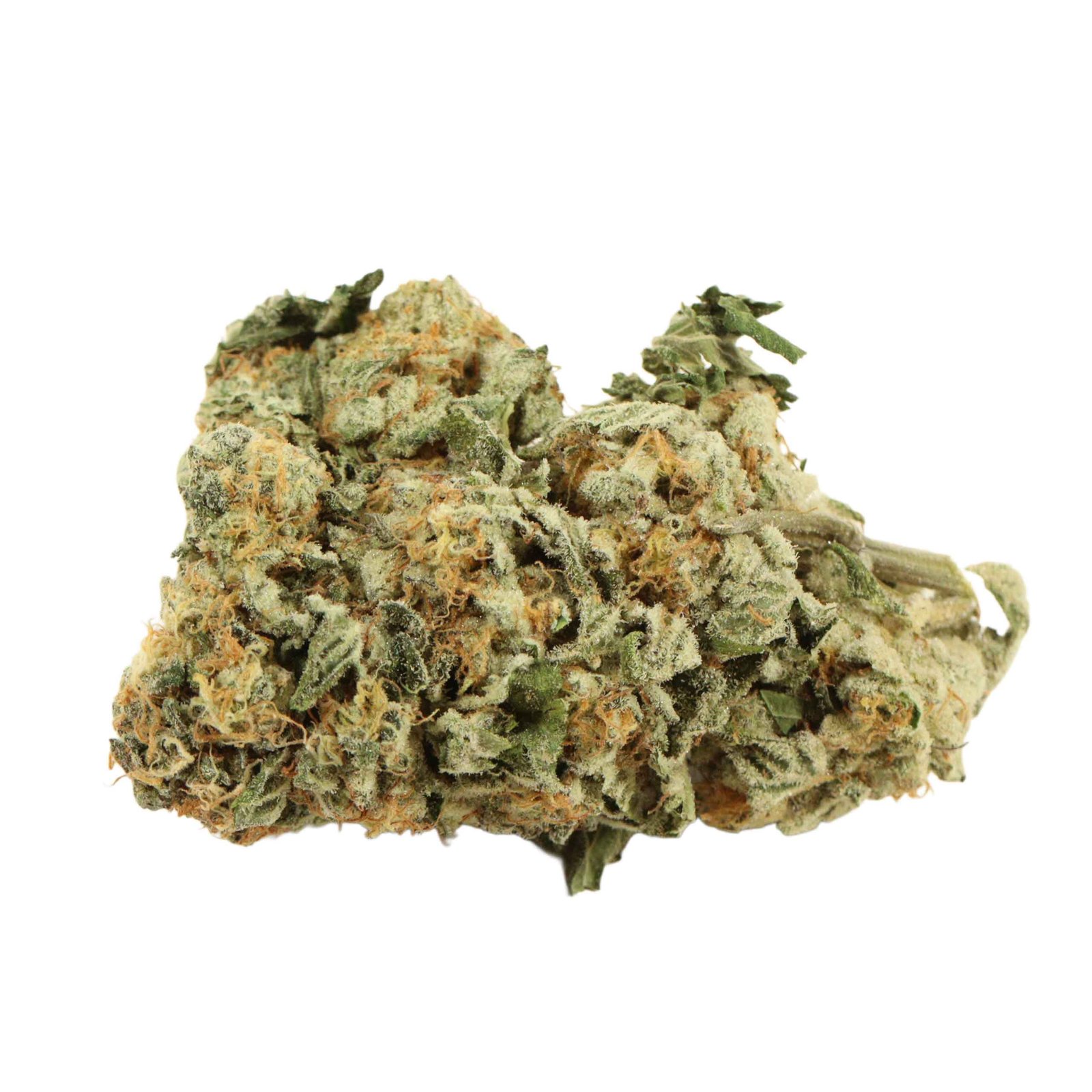Master Kush Strain - Image 2