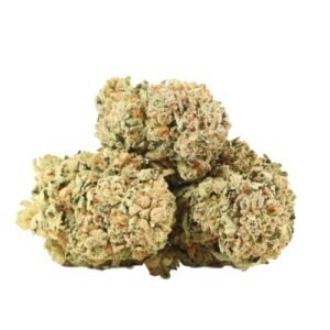 Maui Berry