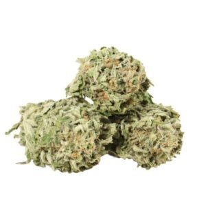 Starbud
